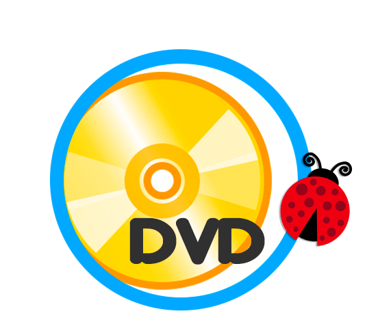 DVD Fin de curso